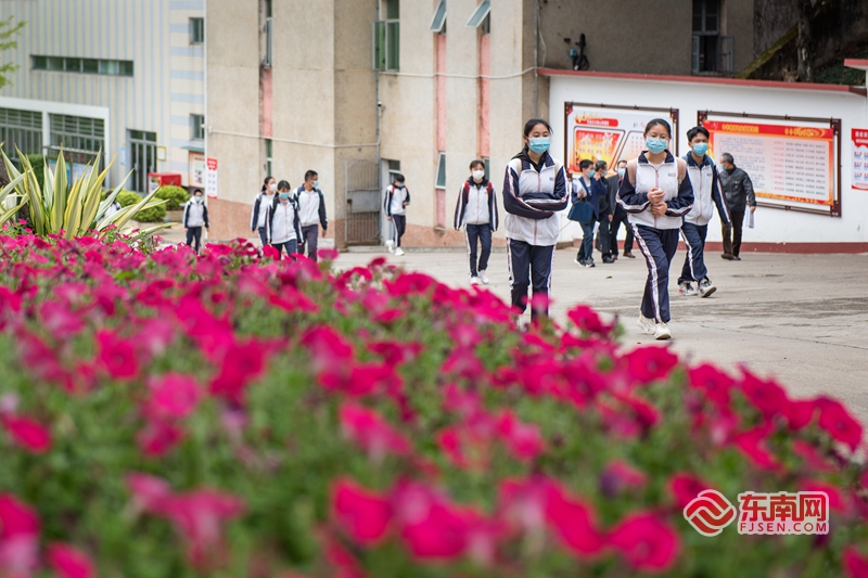 永春一中高三学生复学首日见闻:春暖花开日 同学奋斗时