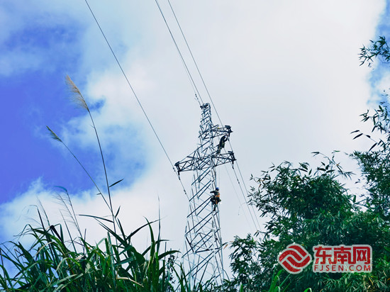國網永春縣供電公司：線路加裝避雷器 供電安全又可靠