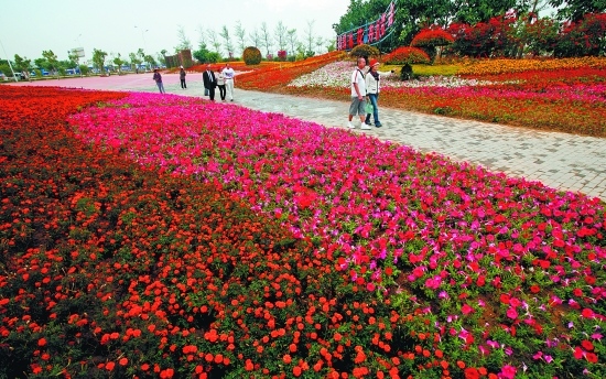 泉州东海之滨崛起幸福之城 造就泉州"第十九景"