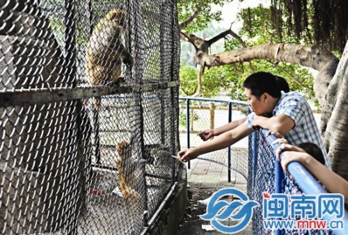 东湖公园动物园国庆游客暴增 每天清出半吨垃