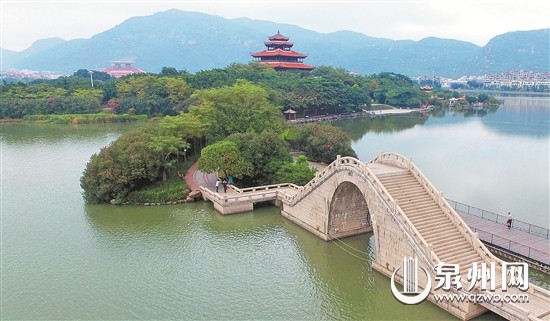 泉州西湖公园桃花岛两条景观大道种满水杉和樱花